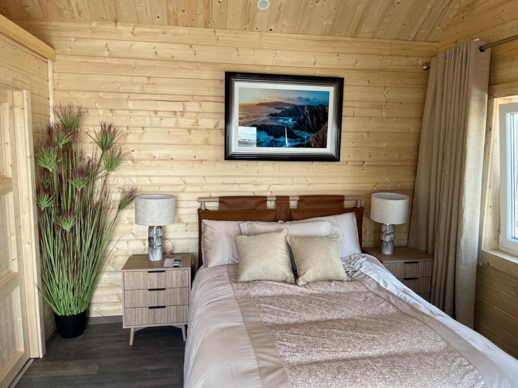 Milltown House Dingle Hotel Bagian luar foto