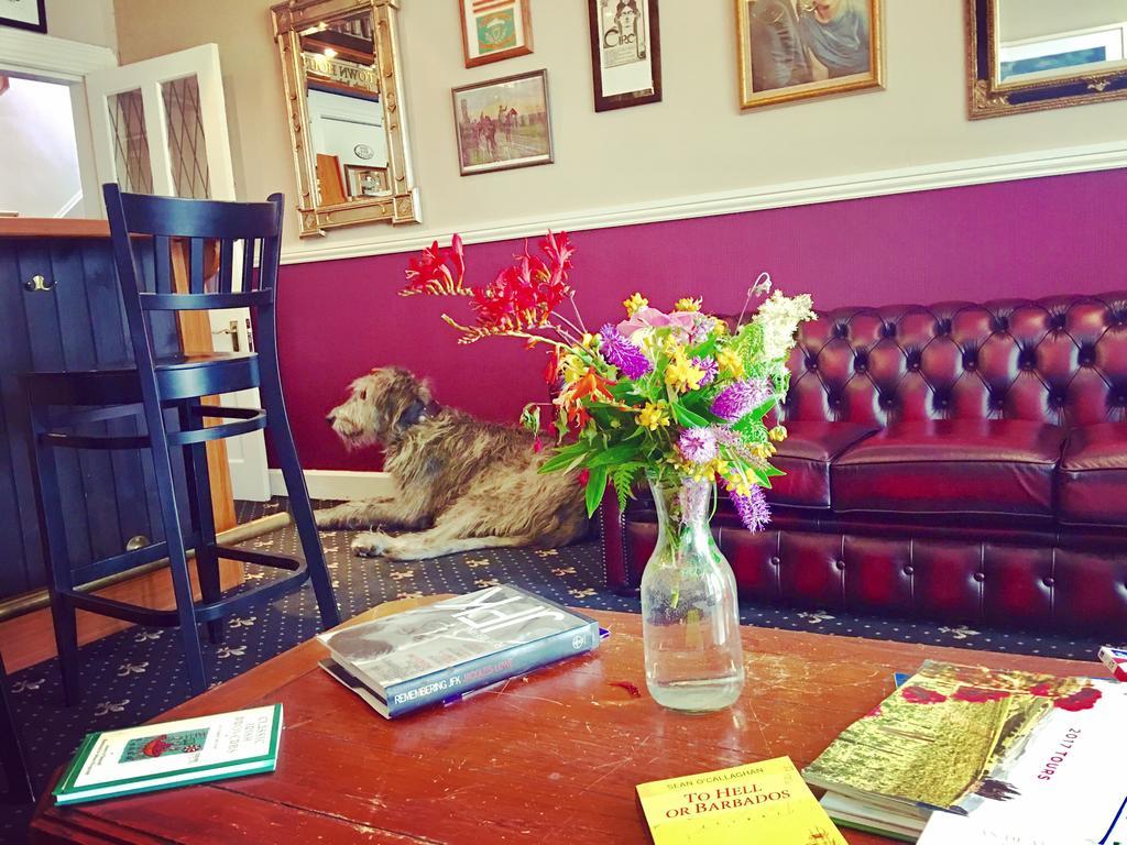 Milltown House Dingle Hotel Bagian luar foto